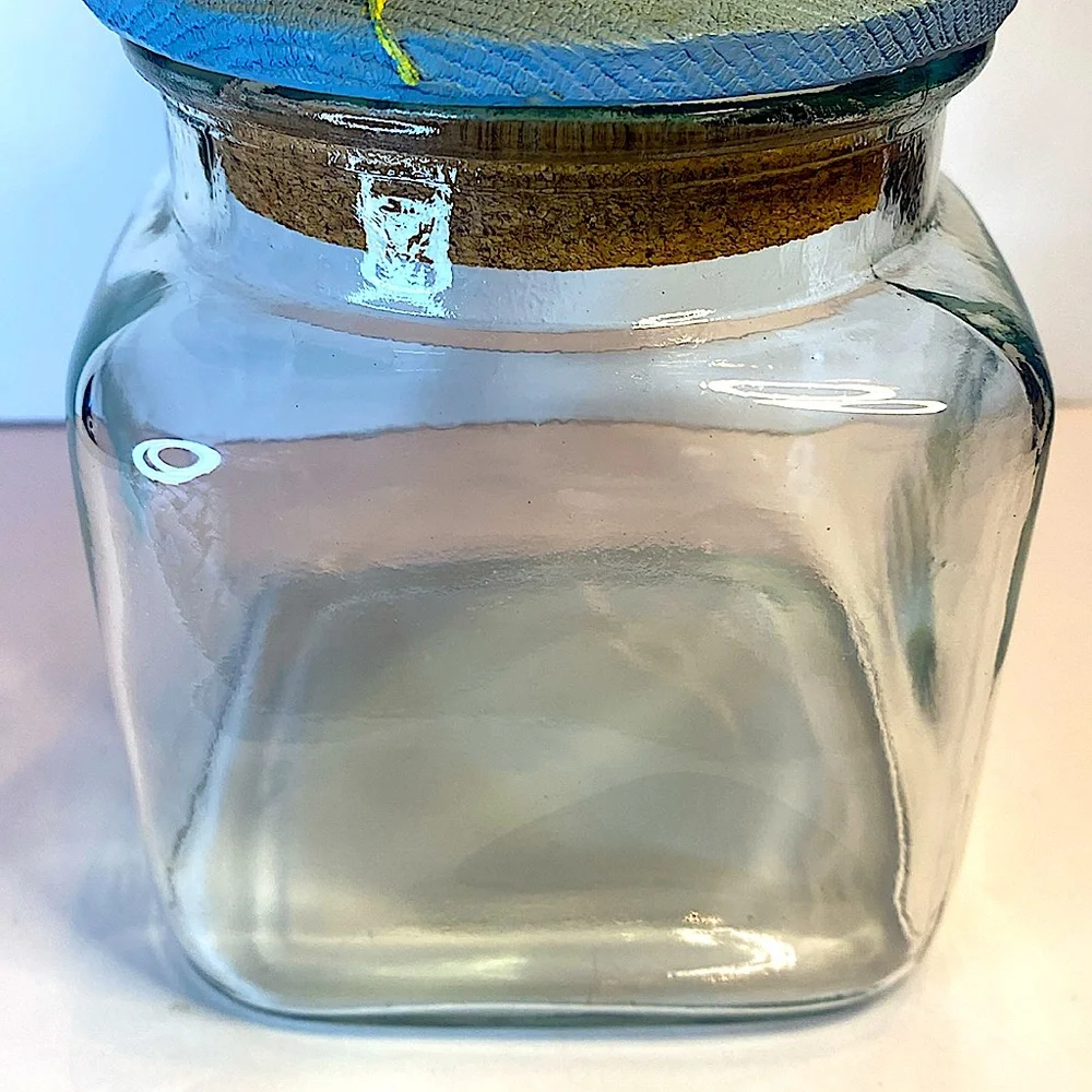 NEW GLASS JAR ADORNED WITH CATS JAR TO STORE DRY CAT FOOD
